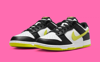 The Nike Dunk Low Appears In 